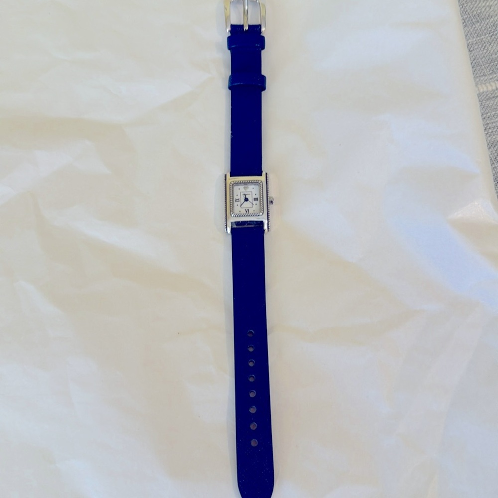 Brighton watch